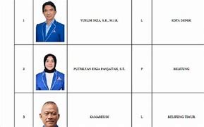 Daftar Caleg Dprd Dapil 6 Jakarta Timur